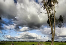 杜塞尔多夫vs汉堡的比分会是多少？深度剖析两队对决的可能性