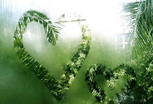 苏格兰vs匈牙利，这场欧国联对决谁能更胜一筹？